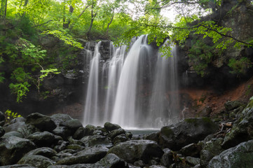 Fototapeta premium 栃木県 那須塩原市 乙女の滝