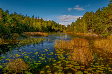 a quiet place in the nature in a european northern country, Sweden, Bagarmossen