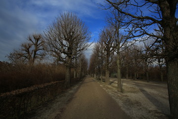 rural park in europe
