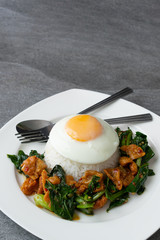 Fried Chinese kale with crispy skin chicken in oyster sauce and chilli in the white dish, fried egg, rice.