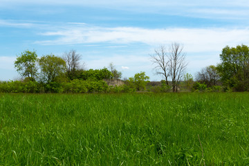 Grass field with bunker