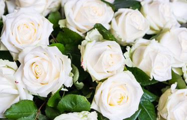 Fototapeta na wymiar A fragment of a bouquet of white roses