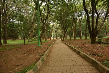 Fototapeta na wymiar Sri Chamarajendra Park (Cubbon Park), Bangalore, Karnataka