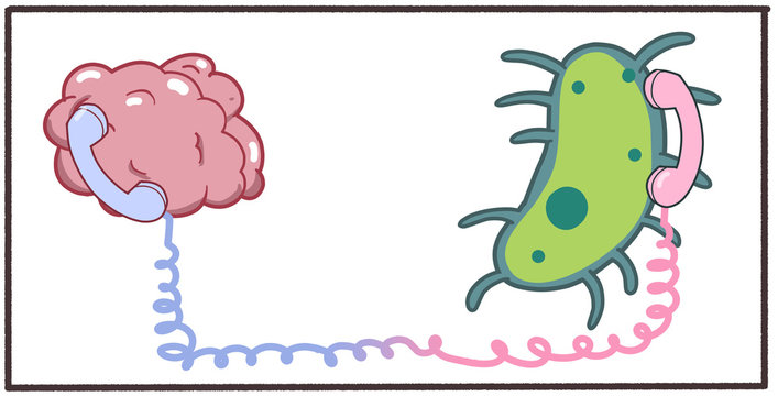 Cartoon 2d artwork showing communication between microbiome gut bacteria and brain central nervous system. Digital illustration on white background.