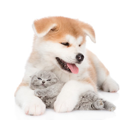 Akita inu puppy hugging baby kitten. isolated on white background
