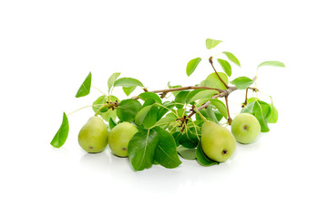 The green pears