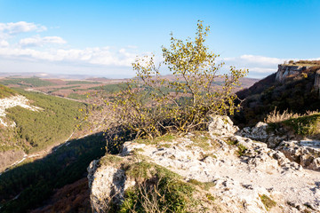 Biyuk-Ashlama-Dere gorge in Crimean mountains Chufut-Kale, Bakhchisaray, Crimea