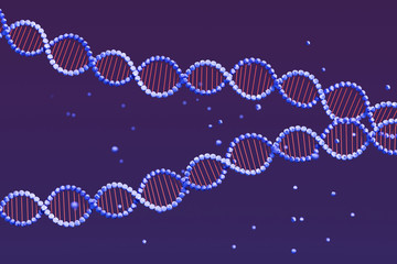 Low poly render of two DNA double helix floating in space joining at the right side. 3D illustration.