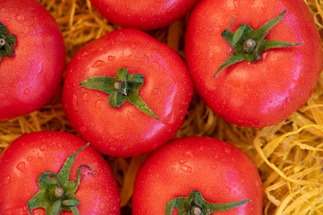 Organic close-up tomatoes in the straw. Food background.