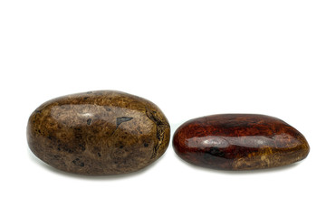 Egg made of wood nature for paperweight, exotic wooden beautiful pattern on white backgroung