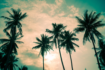 Naklejka na ściany i meble Beautiful silhouette coconut palm tree in sunset evening with clouds sky background in vintage tone. Travel tropical summer beach holiday vacation or save the earth, nature environmental concept.