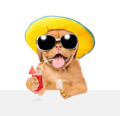 Funny dog in summer hat and sunglasses with red tropic cocktail peeking above white banner. isolated on white background