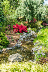 Red Flowers And Creek 6