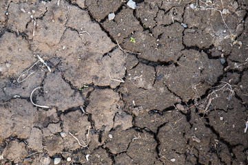 Full frame of cracked dirt. Background of cracked and dried earth. Cloudy day. Brown texture.