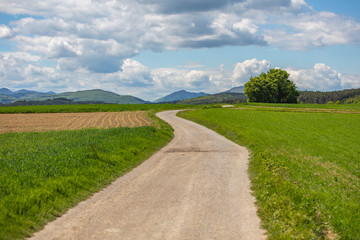 road in the green field .open landscape 