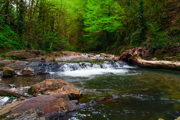 beautiful deep forest waterfall flowing in national park