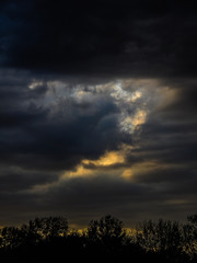 Fototapeta premium Cloud