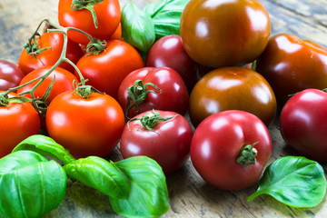 tasty colorful organic tomatoes of different types surrounded by fresh basil leaves on a rustic wooden table