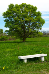Bench in the prairie
