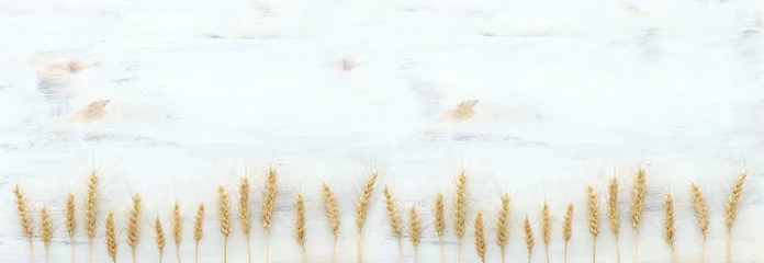 Draufsicht auf Weizenkulturen auf weißem Holzhintergrund. Symbole des jüdischen Feiertags - Schawuot © tomertu