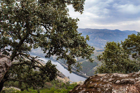 Viewpoint of Saint Leonardo da Galafura, at Douro Region in northern Portugal