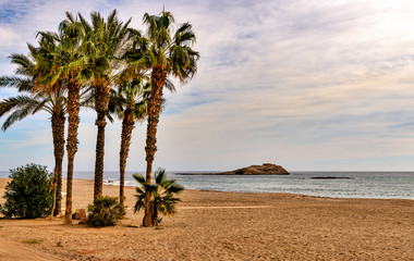 Tropical beach scene with palm trees, calm ocean and distant island on the horizon.