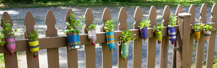 Childrens decorated plastic bottle planters with spring plants.