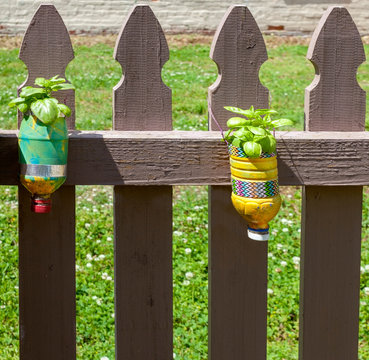 Childrens Decorated Plastic Bottle Planters With Spring Plants.