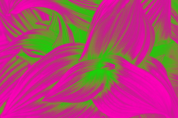 Fototapeta na wymiar Curved leaves abstract texture. Pink and green vivid gradient effect.