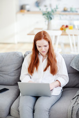 Obraz premium Young red-haired woman working or studying on laptop computer sitting on sofa at home