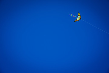 Fototapeta na wymiar Colorful kite flying in the blue sky, negative space for copy.