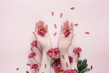 Close-up beautiful female hands with purpure flowers on pink background. Cosmetics for hands anti wrinkle.Top view, copy space