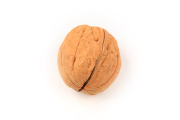 walnut isolated on white background