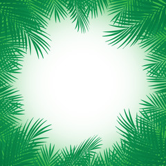 Fototapeta na wymiar Exotic tropical palm tree. Frame border background. Summer illustration. Template for card.