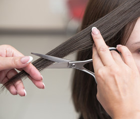 Haircutting process in the hairdresser. woman in the salon smoothes her hair. Hands with scissors. Stock photos for design