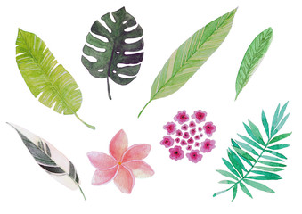 Watercolor tropical leaves and flowers, isolated on white background.