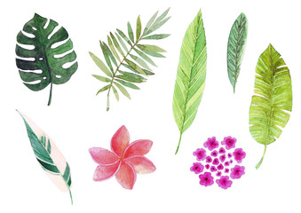 Watercolor tropical leaves and flowers, isolated on white background.