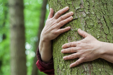 closeup of woman hugging a tree in a forest