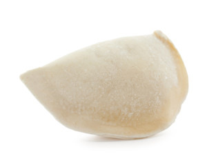 Raw dumpling with tasty filling on white background