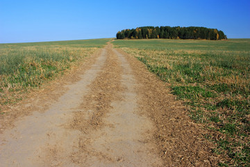 Dirt country road in the field