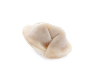 Tasty fresh boiled dumpling on white background