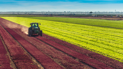 Fototapeta premium Field Of Divide