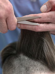 Haircutting process in the hairdresser. man in the salon smoothes his hair. Hands with scissors. Stock photos for design