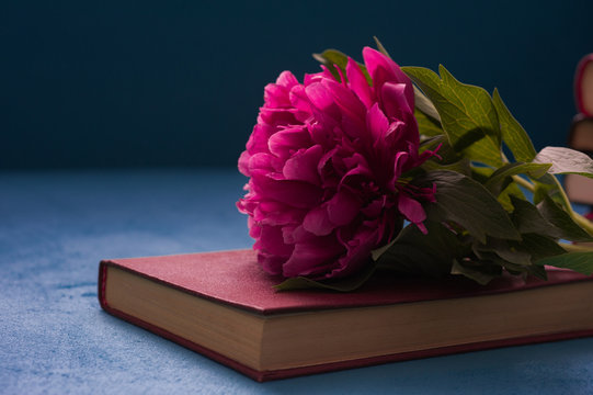 Book with peony flower. Teacher's day concept. Mother's day