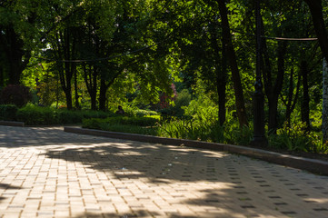 early summer landscape, old Park, trees, bushes, green grass, bright green leaves