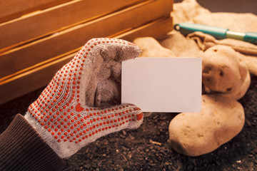 Organic potato farmer holding blank business card mock up