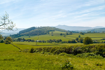 Obraz premium rural landscape with green field and trees ( pen y fan from brecon)