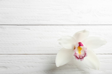 Beautiful tropical orchid flower on white wooden background, top view. Space for text