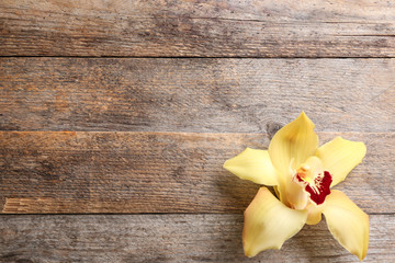 Beautiful tropical orchid flower on wooden background, top view. Space for text
