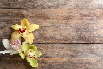 Beautiful tropical orchid flowers on wooden background, flat lay. Space for text